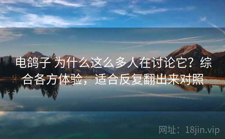 电鸽子 为什么这么多人在讨论它？综合各方体验，适合反复翻出来对照