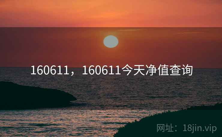 160611，160611今天净值查询