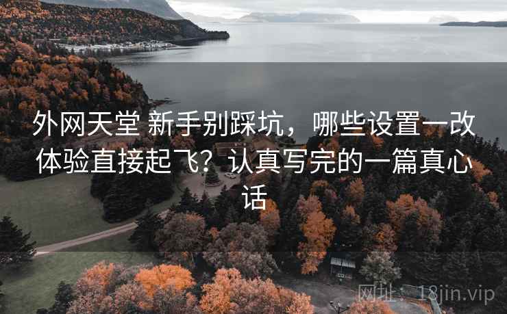 外网天堂 新手别踩坑，哪些设置一改体验直接起飞？认真写完的一篇真心话
