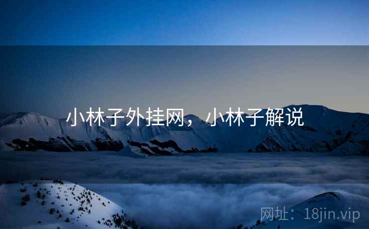 小林子外挂网，小林子解说