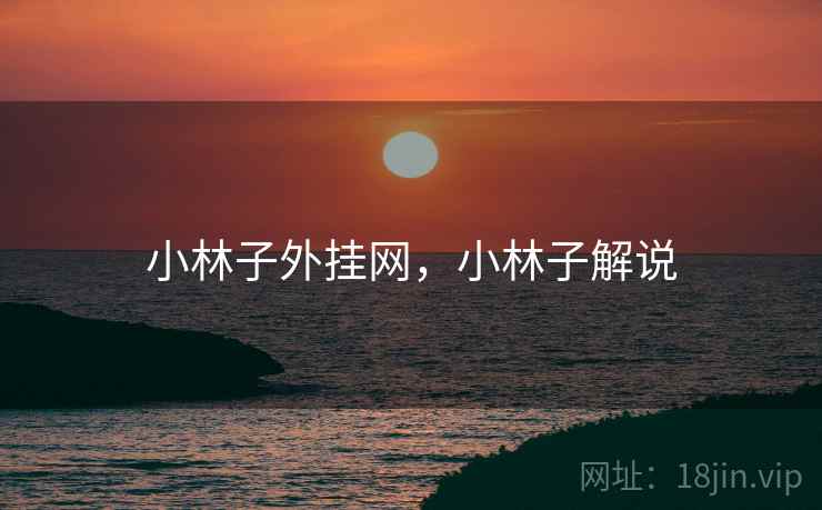 小林子外挂网，小林子解说