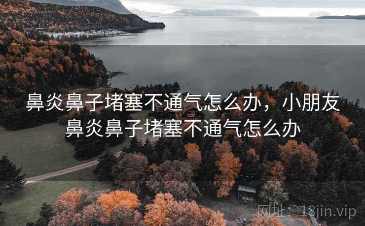 鼻炎鼻子堵塞不通气怎么办，小朋友鼻炎鼻子堵塞不通气怎么办