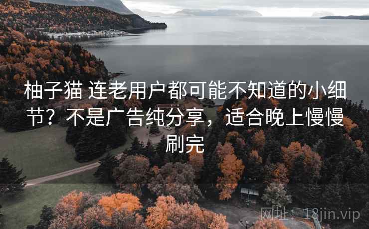 柚子猫 连老用户都可能不知道的小细节？不是广告纯分享，适合晚上慢慢刷完