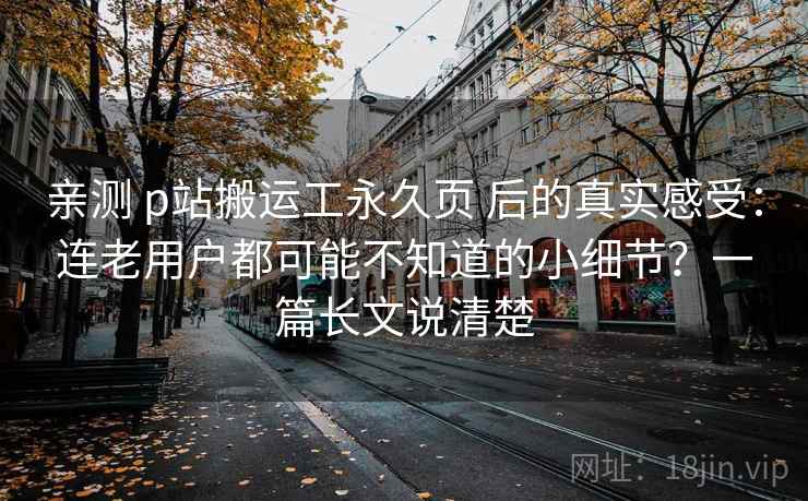 亲测 p站搬运工永久页 后的真实感受：连老用户都可能不知道的小细节？一篇长文说清楚