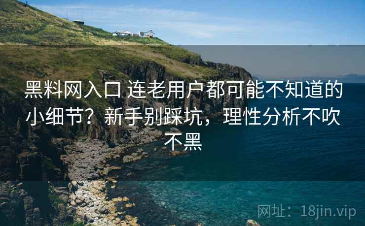 黑料网入口 连老用户都可能不知道的小细节？新手别踩坑，理性分析不吹不黑