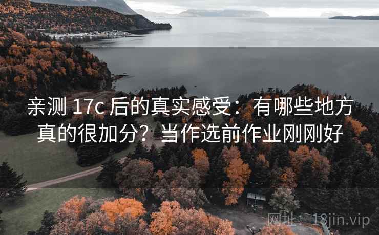 亲测 17c 后的真实感受：有哪些地方真的很加分？当作选前作业刚刚好