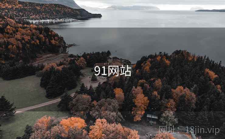 91网站