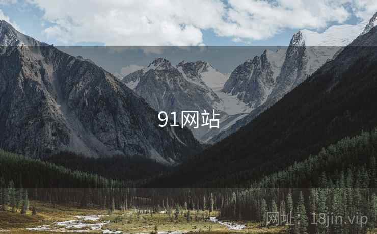 91网站