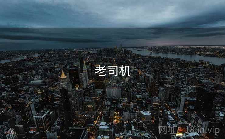 老司机