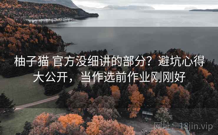 柚子猫 官方没细讲的部分？避坑心得大公开，当作选前作业刚刚好